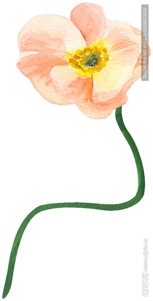 粉色花朵柔美花茎