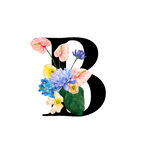 花卉装饰的字母B
