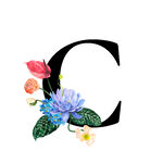 花卉装饰的字母C