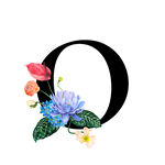 花卉装饰的字母O