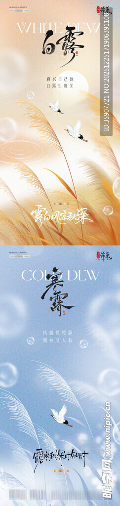 地产白露寒露芦苇风景海报