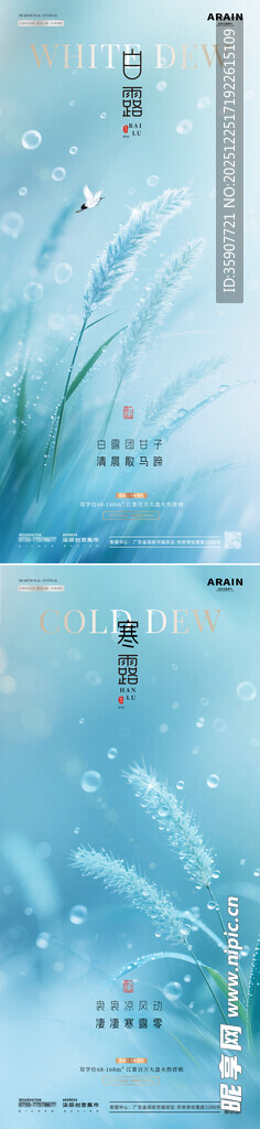 地产白露寒露芦苇露珠清新海报