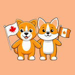 举加拿大国旗的可爱柯基犬