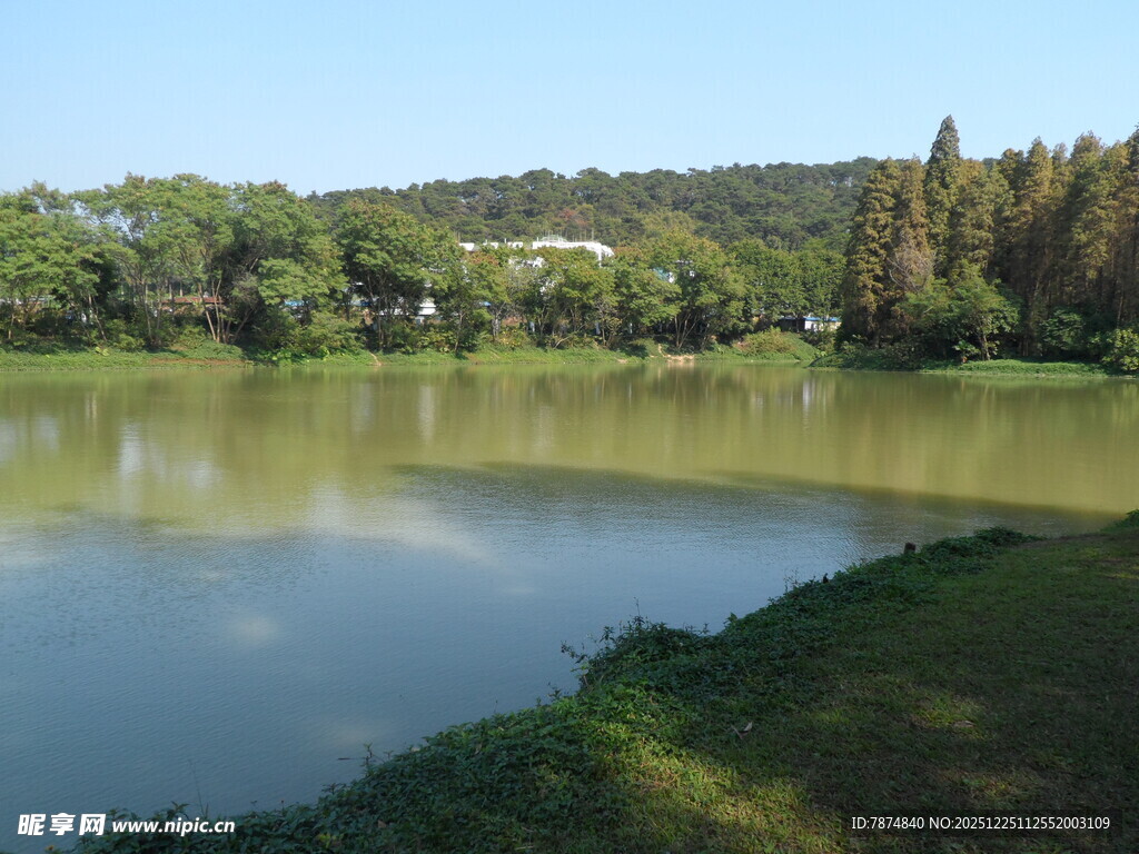 宁静湖畔风光