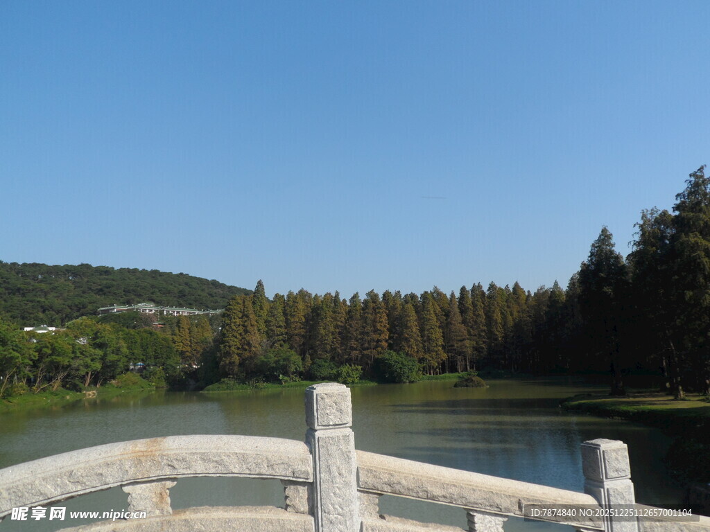 湖畔石桥边的自然景致