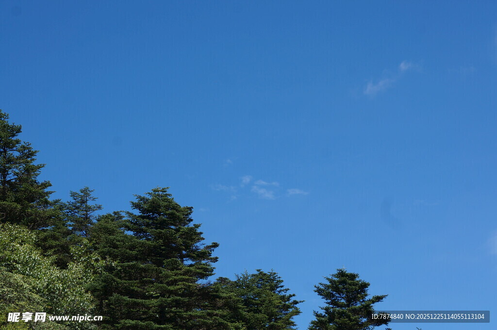 蓝天绿树风景图