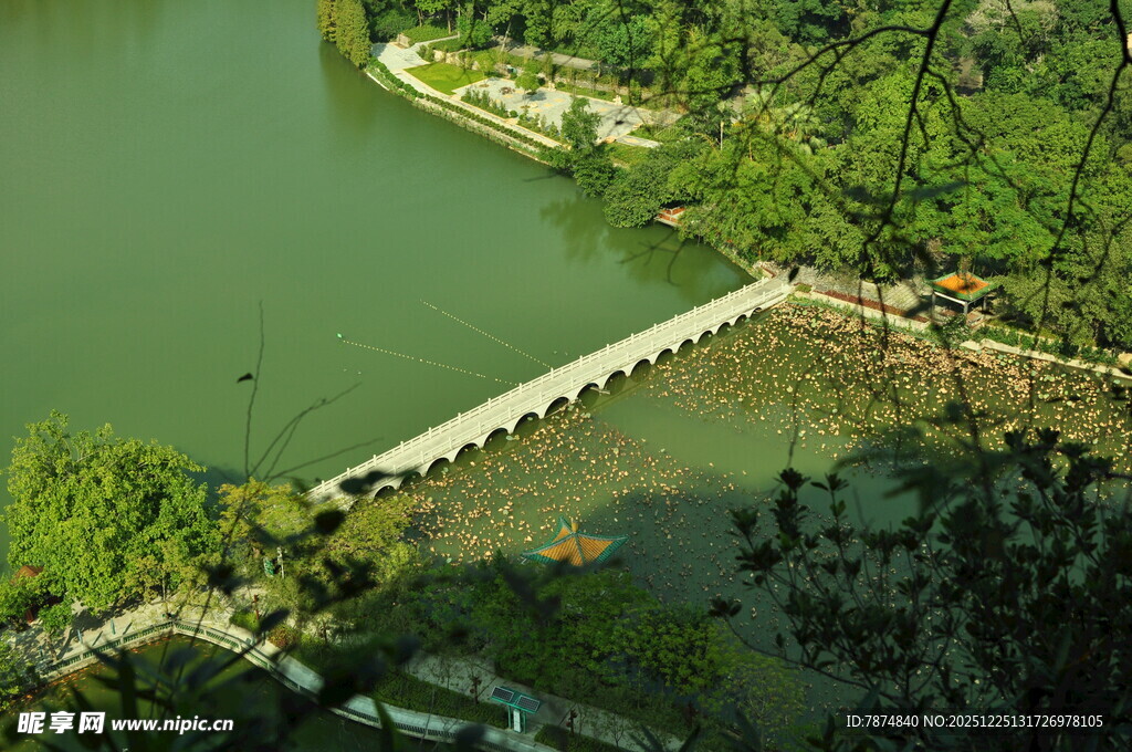 湖上长桥伴葱郁山林