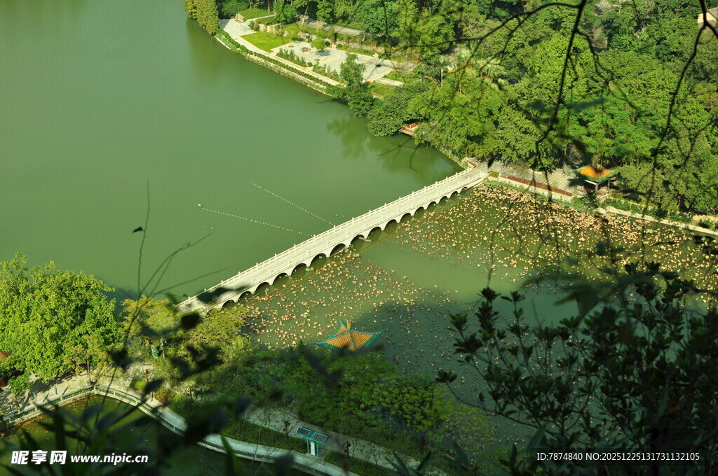 俯瞰湖上长桥与周边绿意