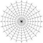 蜘蛛网