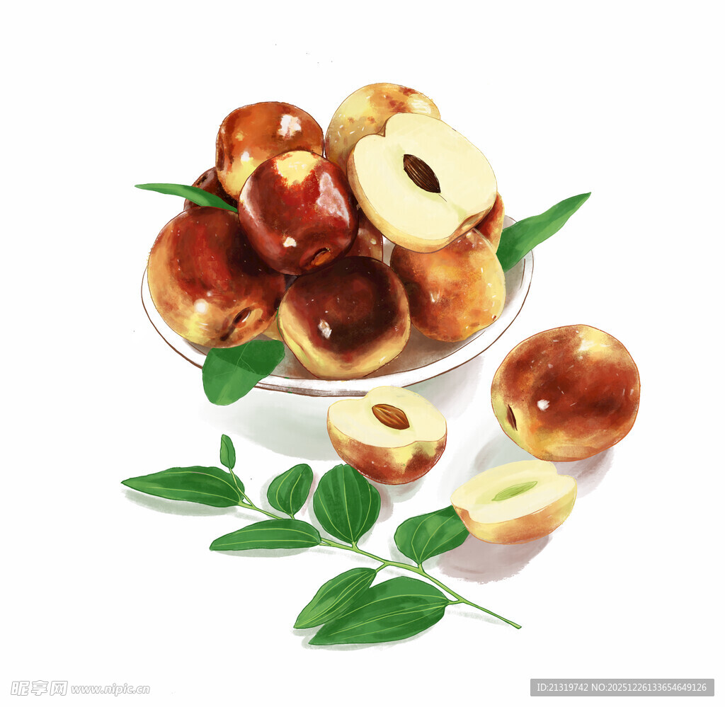 冬枣插画