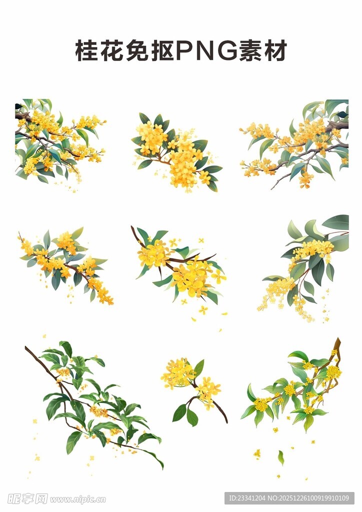 桂花免抠PNG素材图