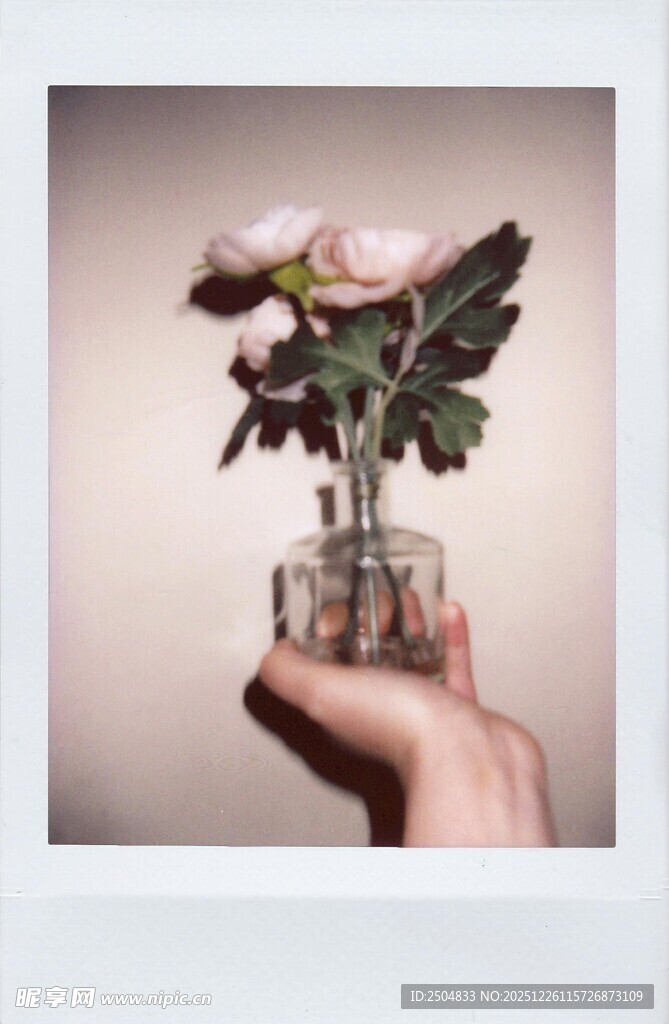 手捧玻璃花瓶中的娇艳花朵