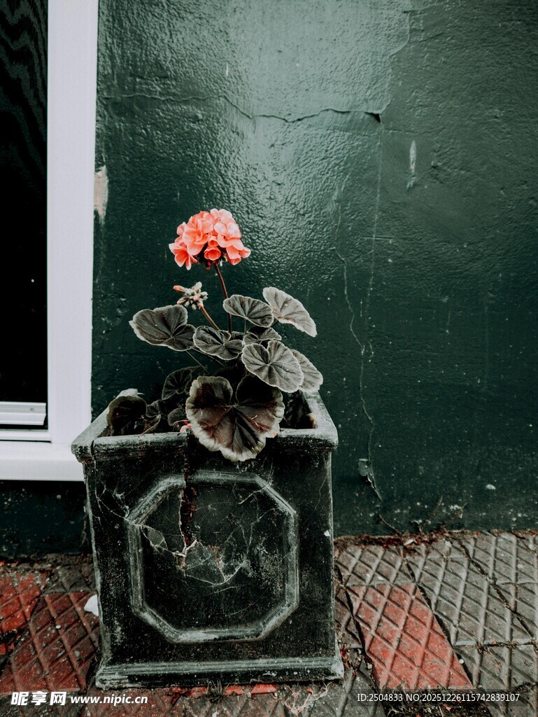 复古机器上的娇艳花朵