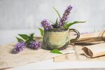 复古杯中的薰衣草静物