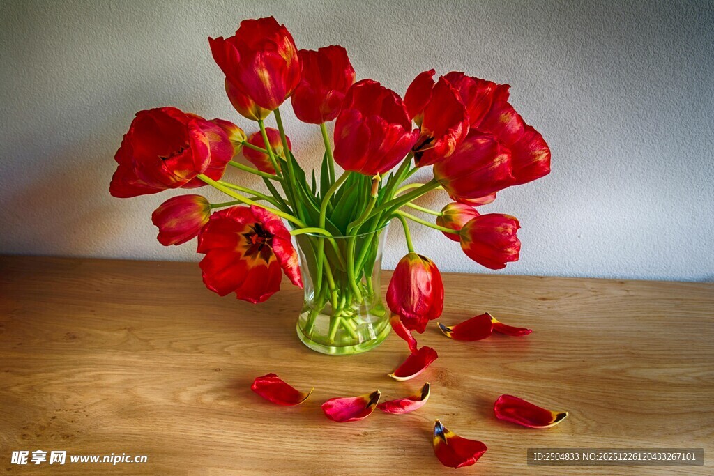 花瓶中盛放的鲜艳红郁金香