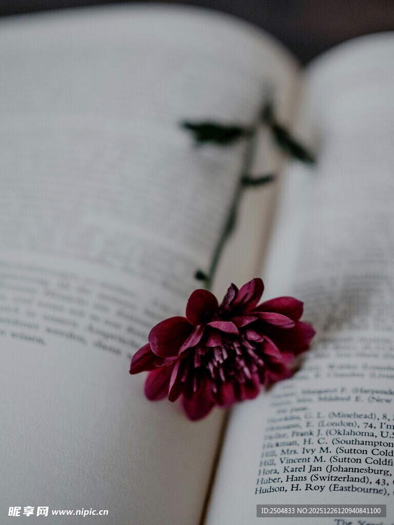 书页间的娇艳花朵