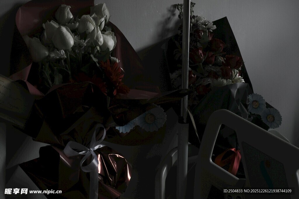 室内绿植与装饰摆件