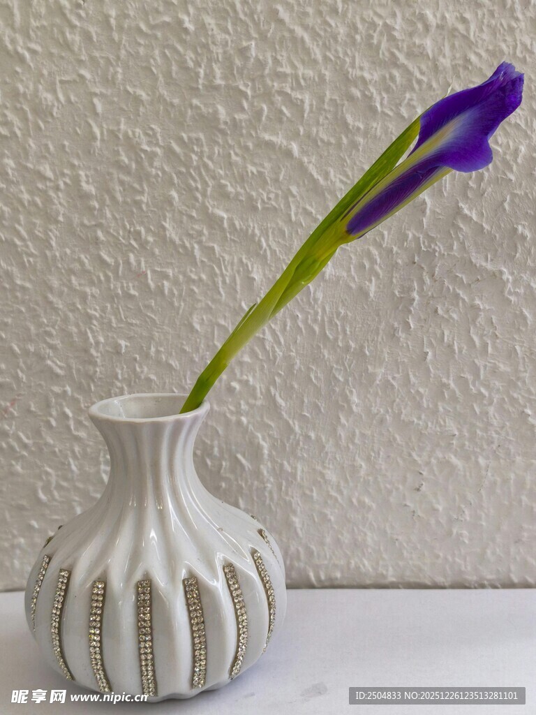 白色花瓶中插着紫色花朵