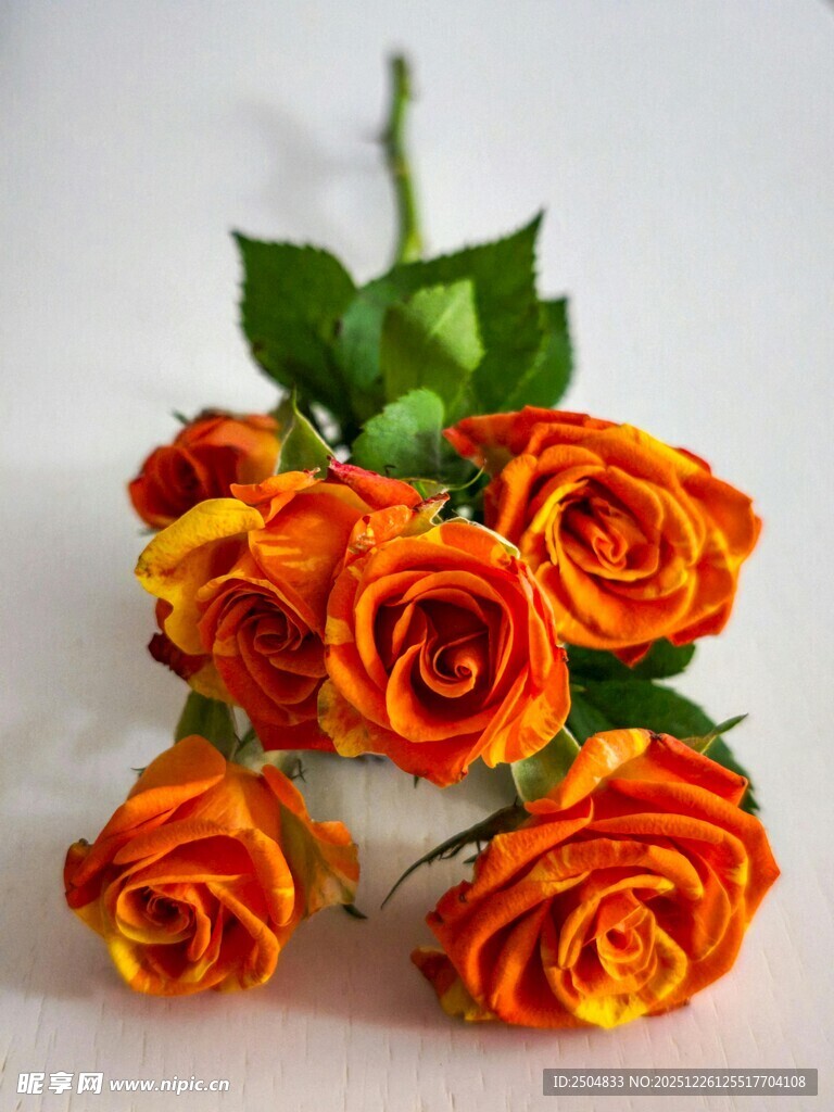 橙黄 变玫瑰花束