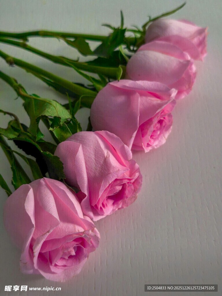 粉色玫瑰花束特写