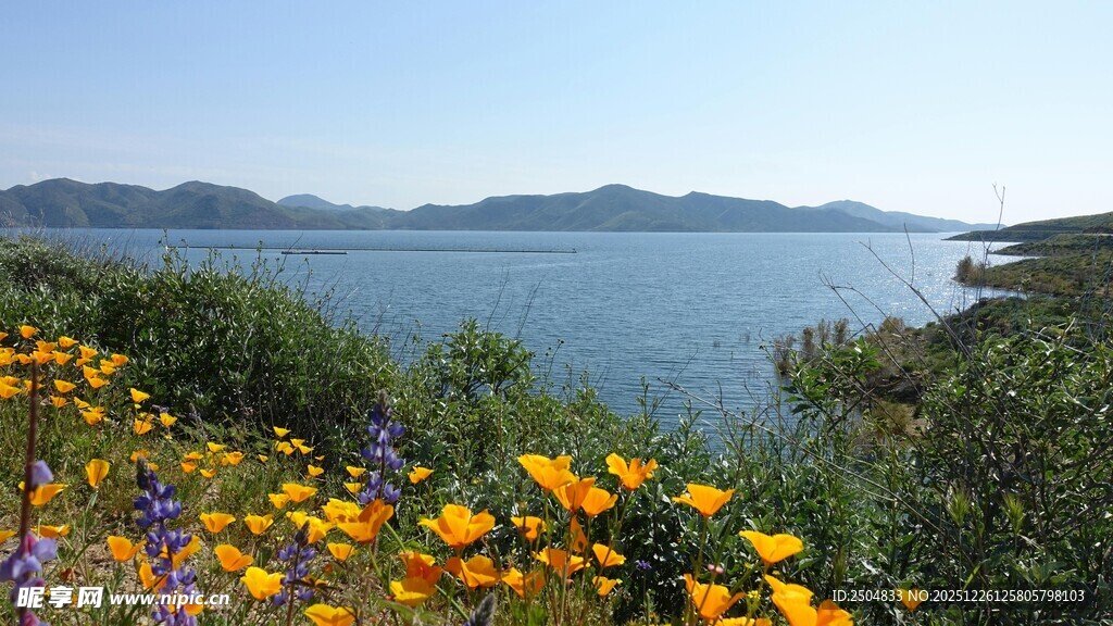 湖畔繁花盛开的美丽景致
