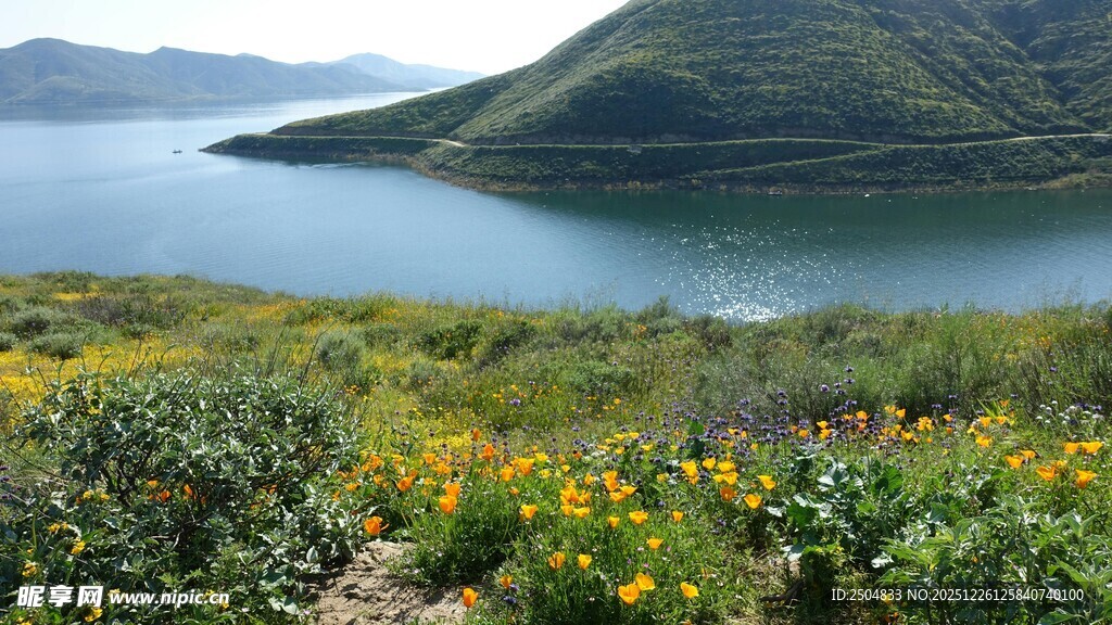 湖畔花海 青山绿水美景
