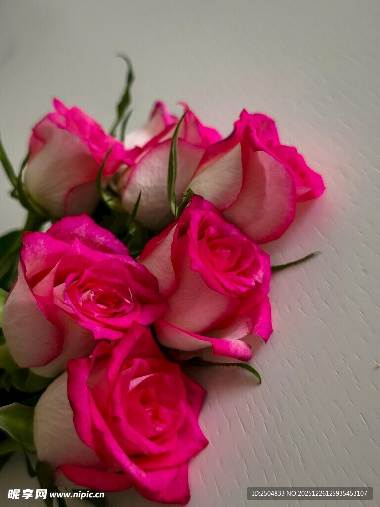 粉色娇艳玫瑰花束