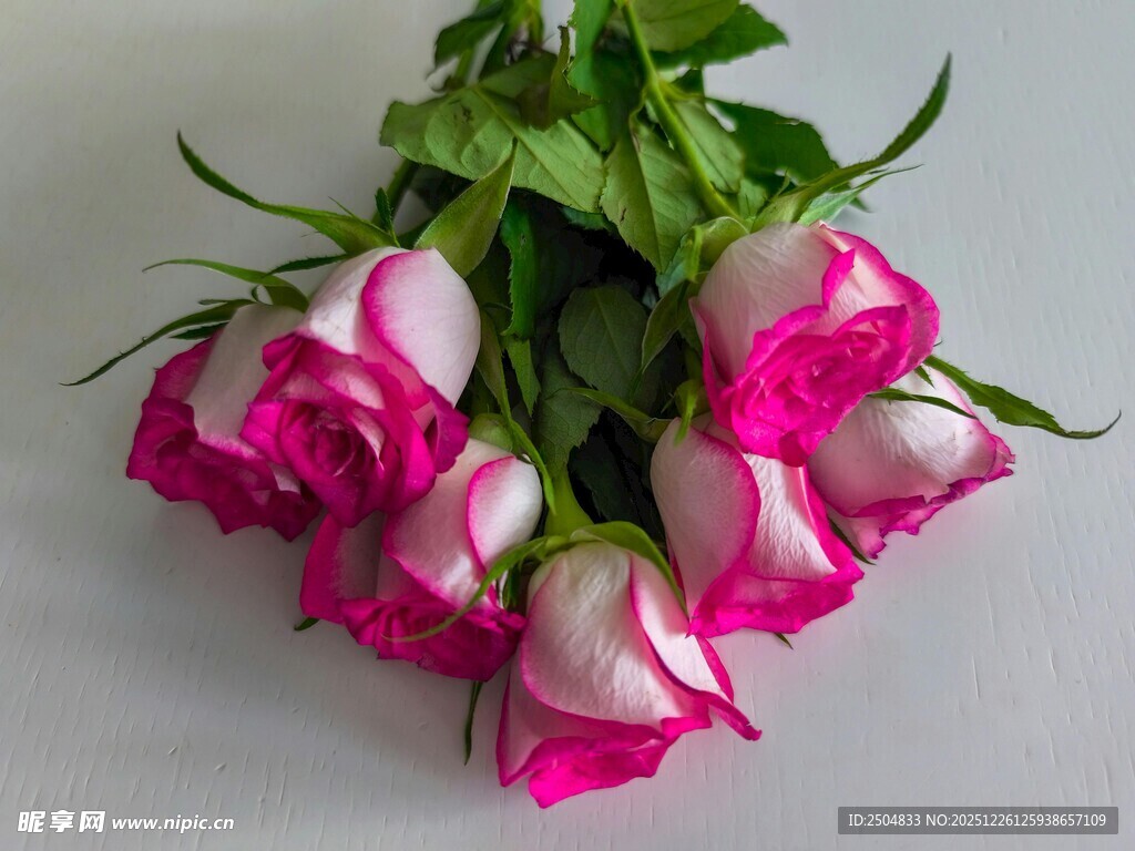 粉色 变玫瑰花束