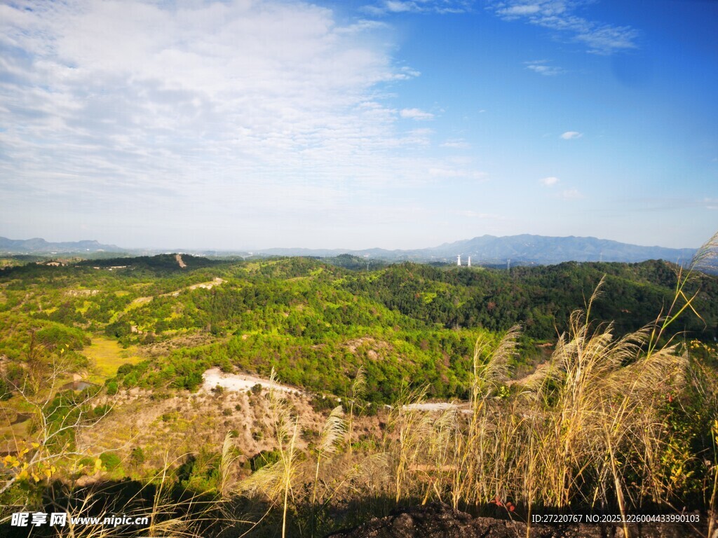 广袤绿野蓝天美景