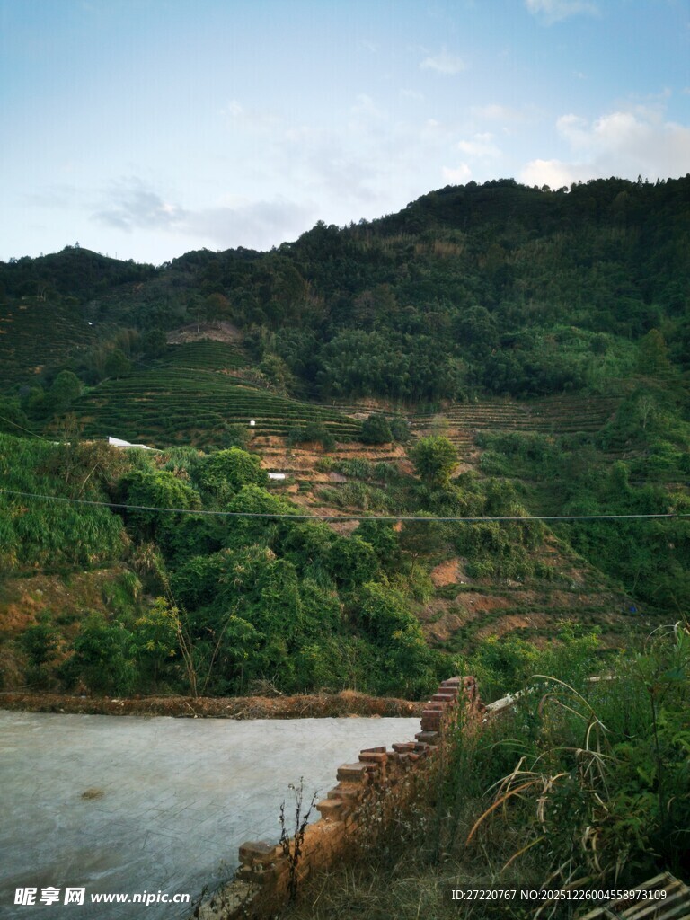 山间河流边的翠绿景致