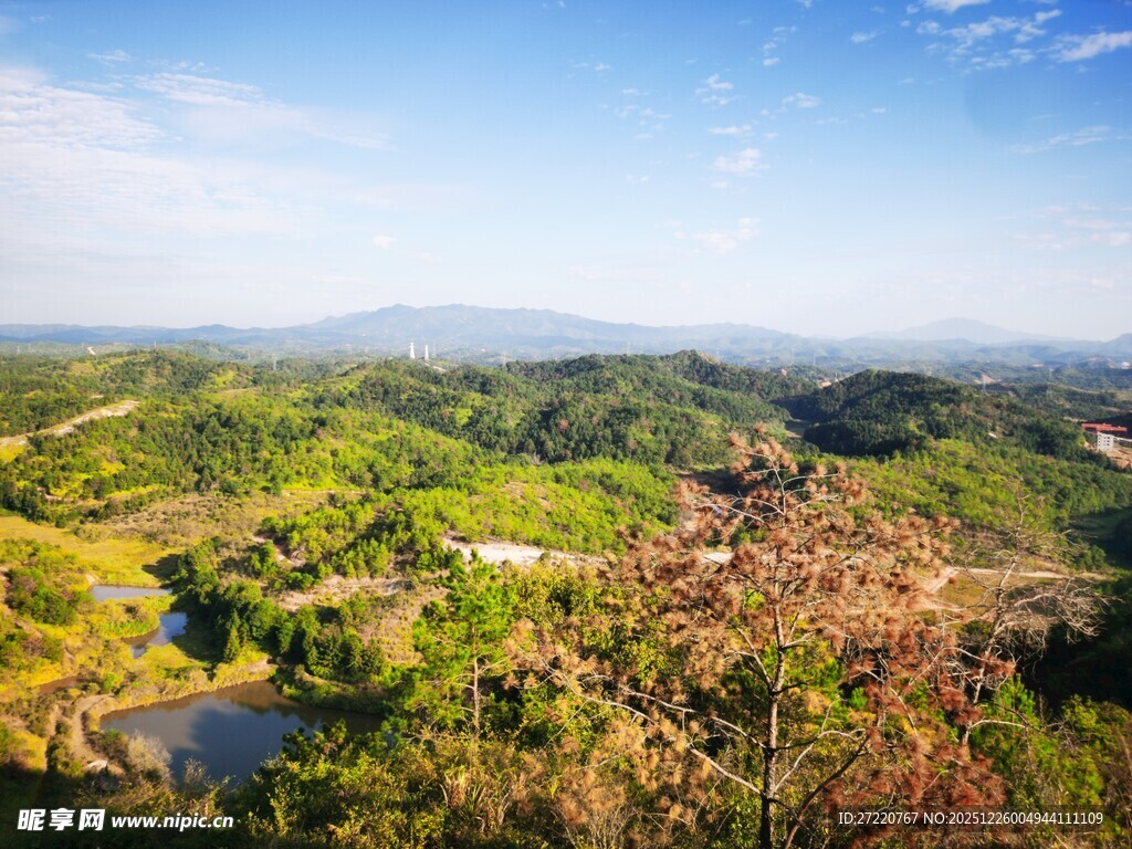 俯瞰绿意盎然的自然景致