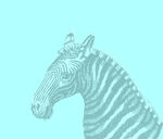 斑马  矢量