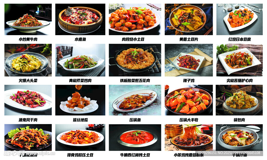 多样美食菜品展示