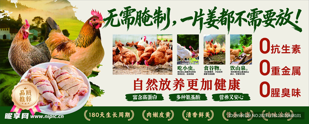 土鸡 鸡公煲 灯箱 海报