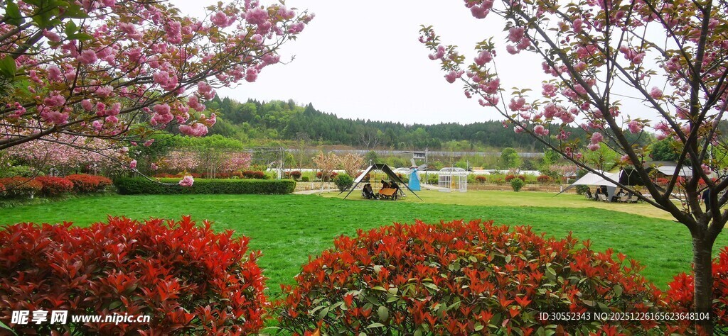 春日繁花盛开的美丽景致