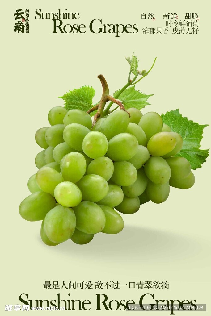 阳光玫瑰葡萄水果海报