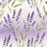 手绘薰衣草花卉图案背景