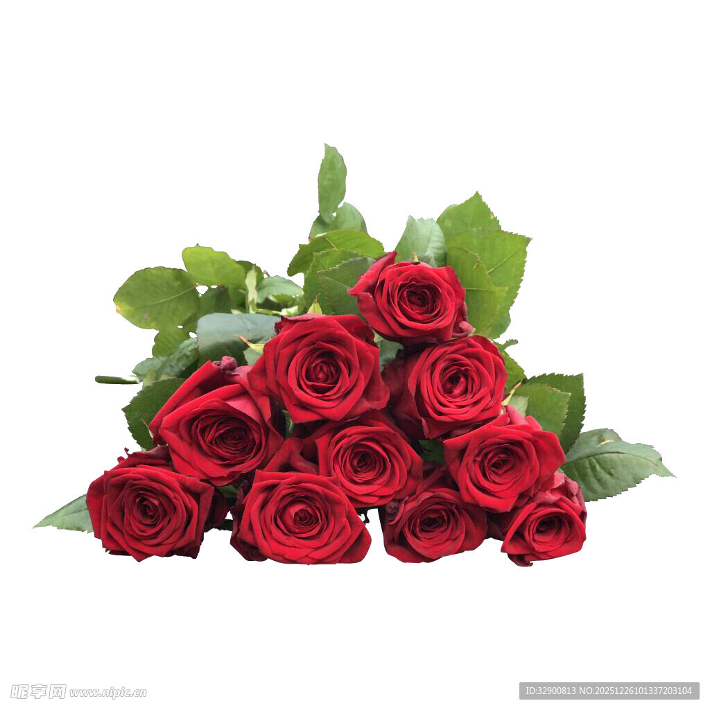 红玫瑰花束