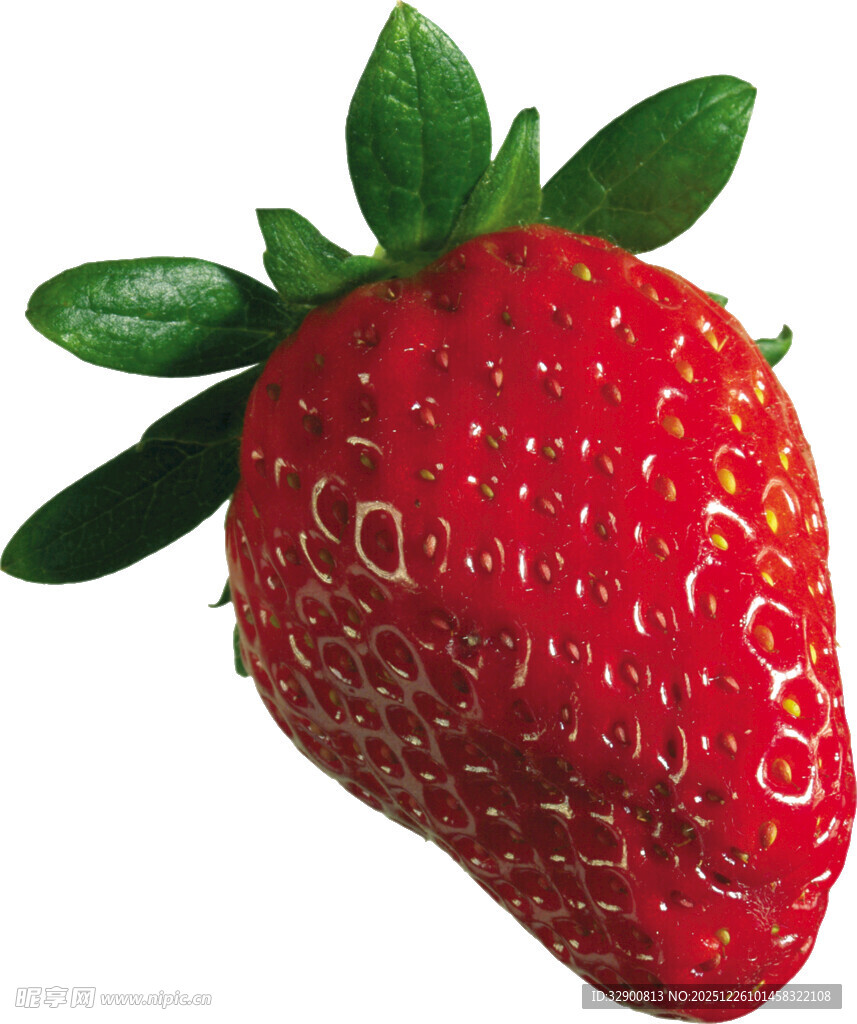 鲜红饱满的诱人草莓