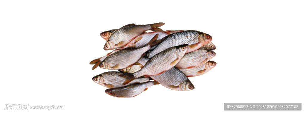 新鲜堆叠的多条小鱼