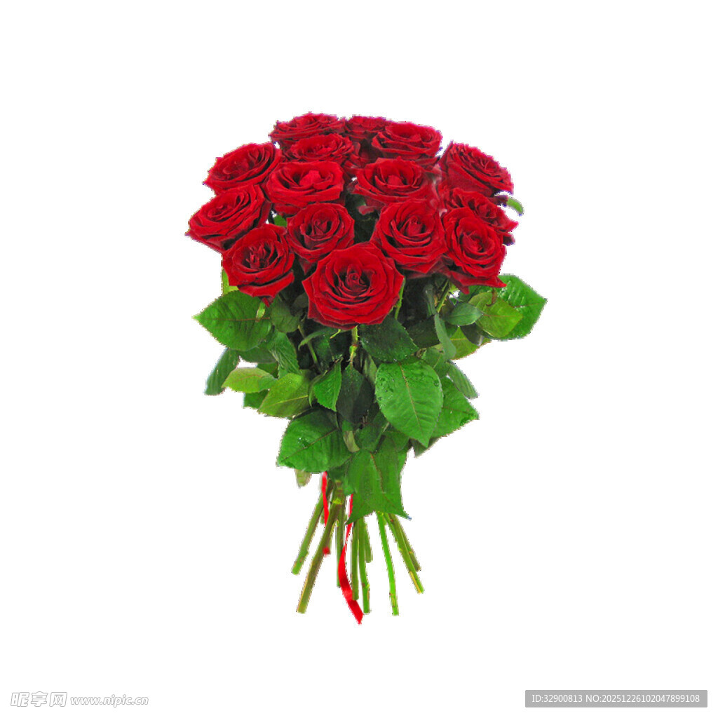 鲜艳红玫瑰花束