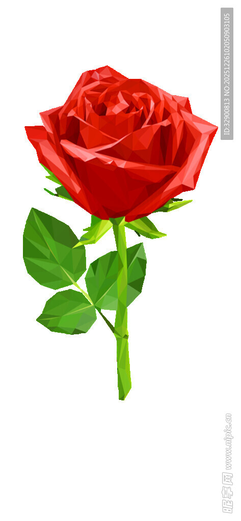 娇艳红玫瑰