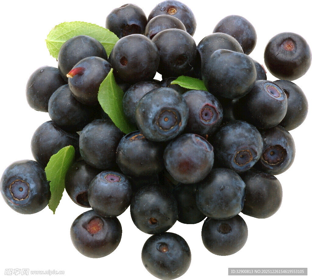 新鲜饱满的蓝莓果实