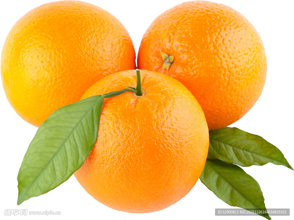 新鲜橙子带绿叶展示