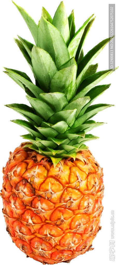 新鲜饱满的菠萝