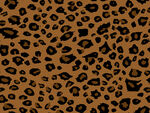 豹纹图案纹理背景