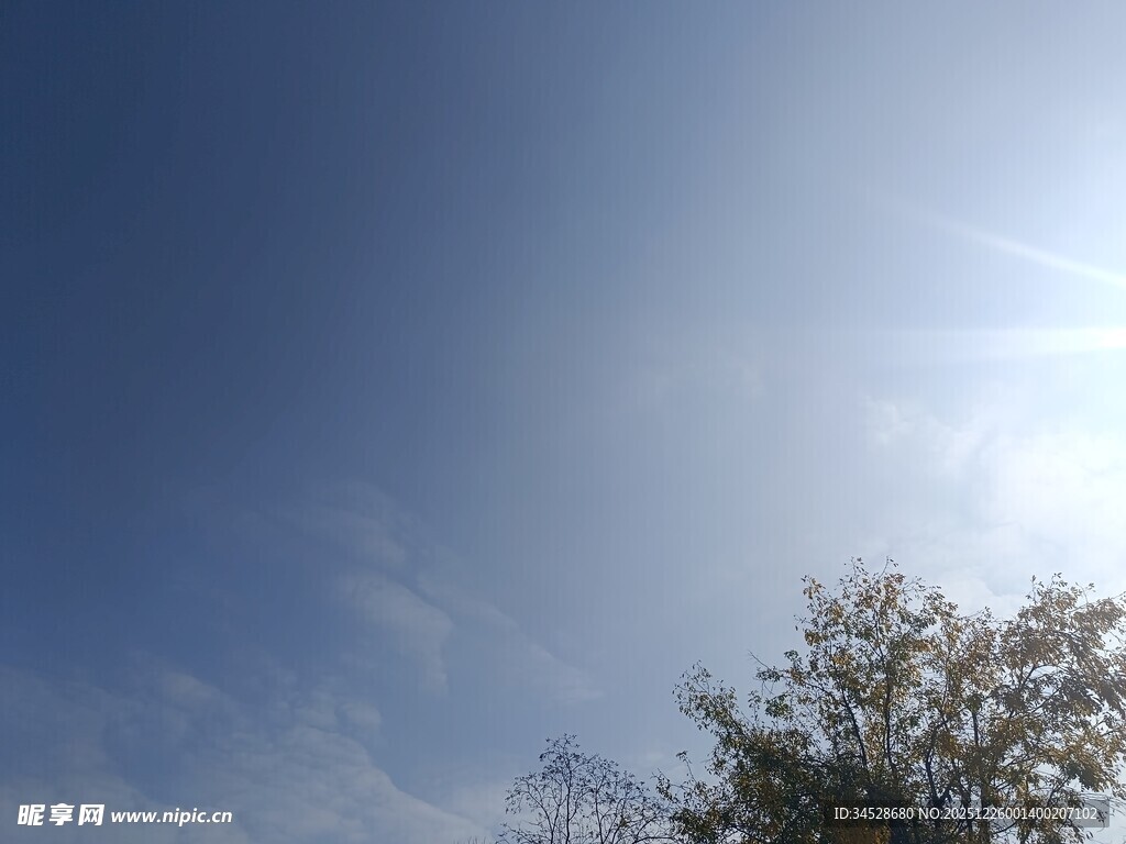 晴朗蓝天与树梢