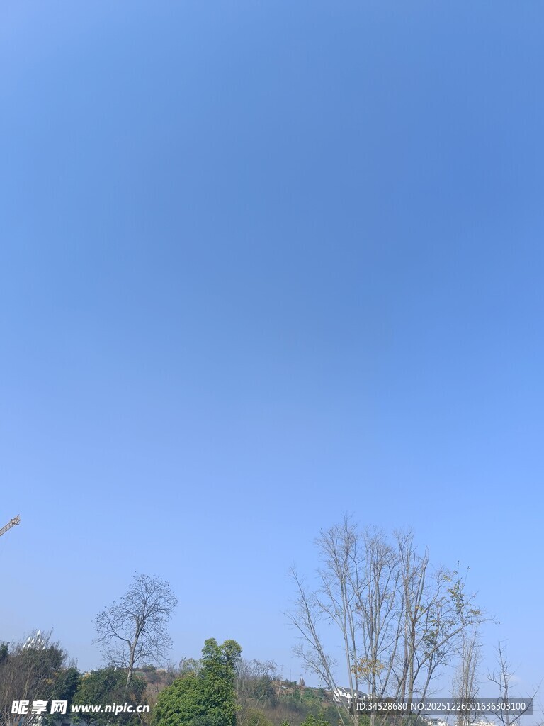 晴朗蓝天与稀疏树木景观