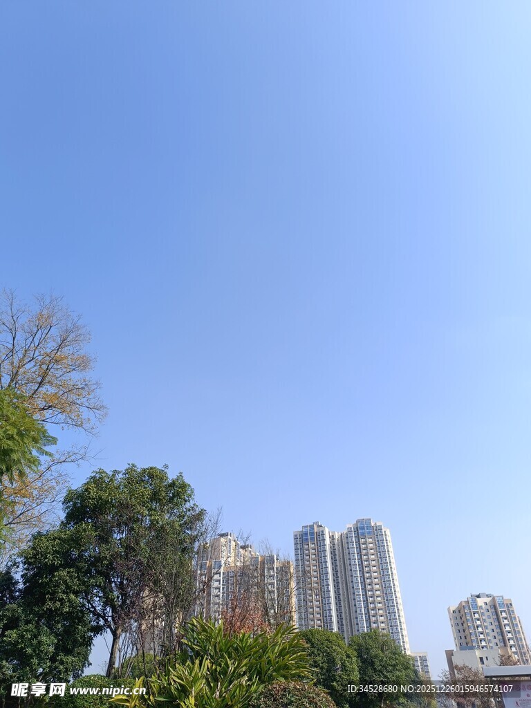 城市高楼与绿树蓝天