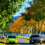 秋日街道上行驶的多彩车辆